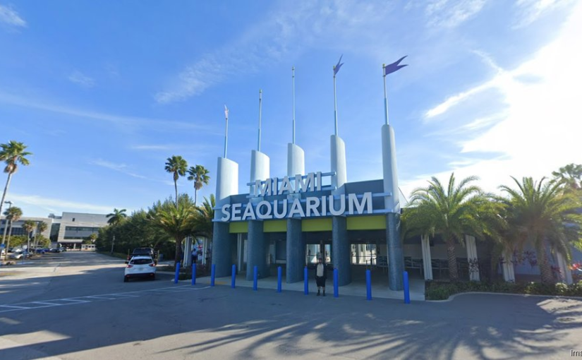 Resumen — Terra presenta el plan de reconversión del Miami Seaquarium en Virginia Key